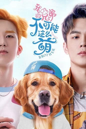 我的兄弟不可能这么萌