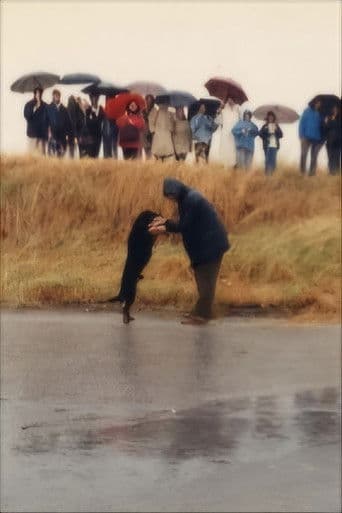 Strada provinciale delle Anime