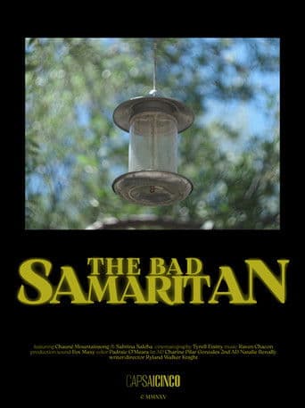 The Bad Samaritan