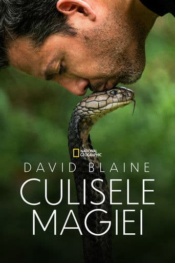 David Blaine: Culisele magiei