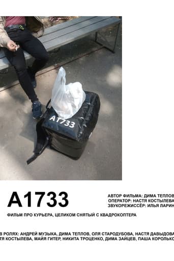 А1733