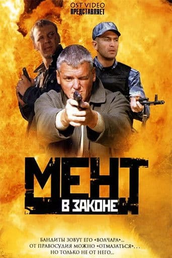 Мент в законе