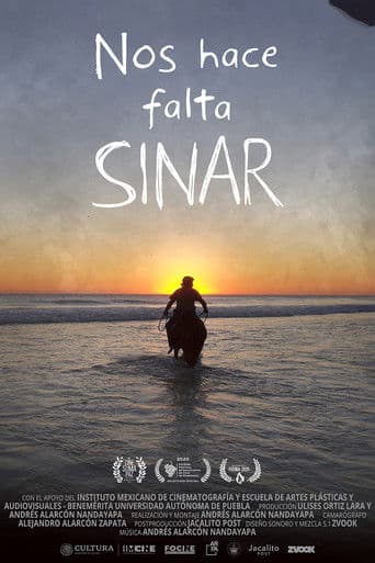 Nos hace falta Sinar