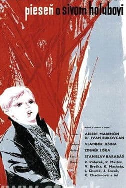 Pieseň o sivom holubovi