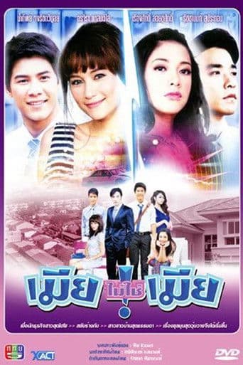 เมียไม่ใช่เมืย