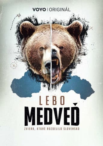 Lebo medveď