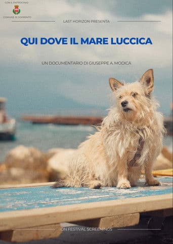 Here where the sea shines