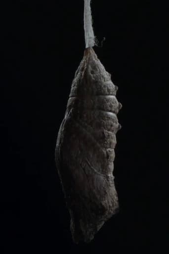Ledena kraljica