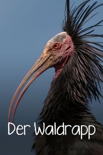 Der Waldrapp: Zugvogel im Aufwind