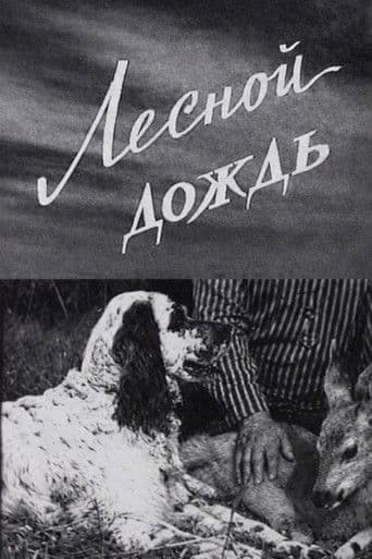 Лесной дождь