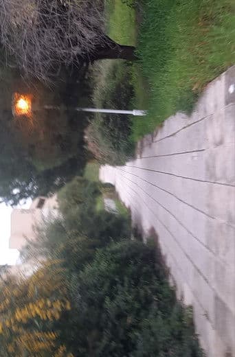 Adventures of an empty university