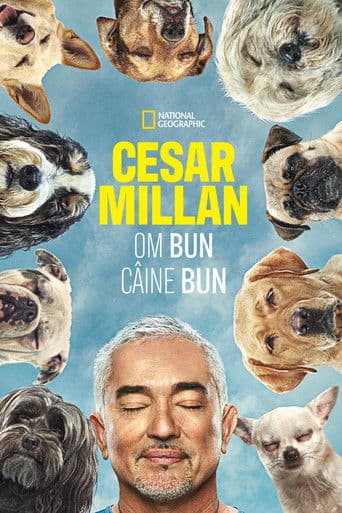 Cesar Millan: Better Human, Better Dog