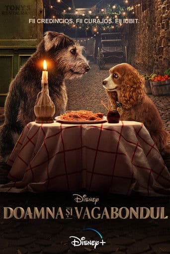 Doamna și vagabondul