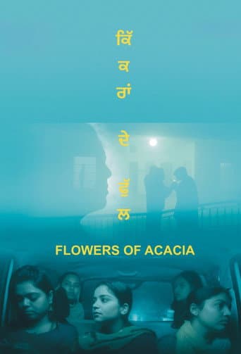 ਕਿੱਕਰਾਂ ਦੇ ਫੁੱਲ