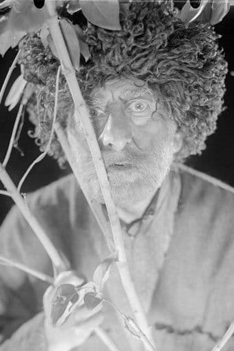 არშაულა