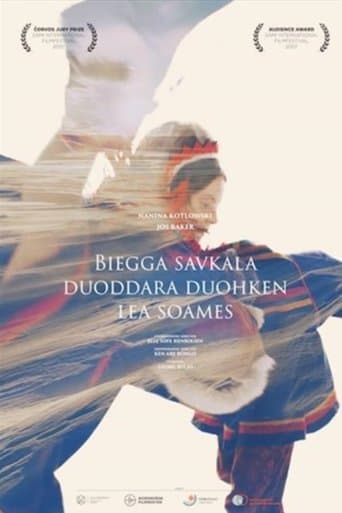 Biegga savkala duoddara duohken lea soames