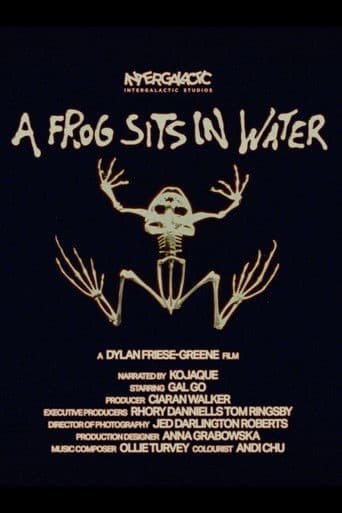 A Frog Sits In Water