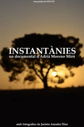 Instantànies