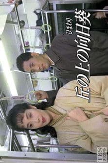 丘の上の向日葵