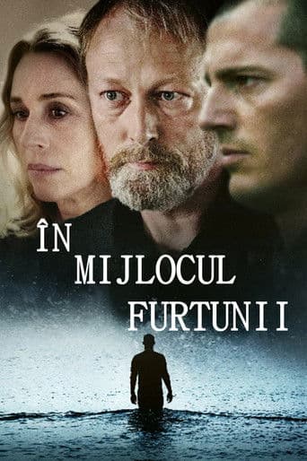 În mijlocul furtunii