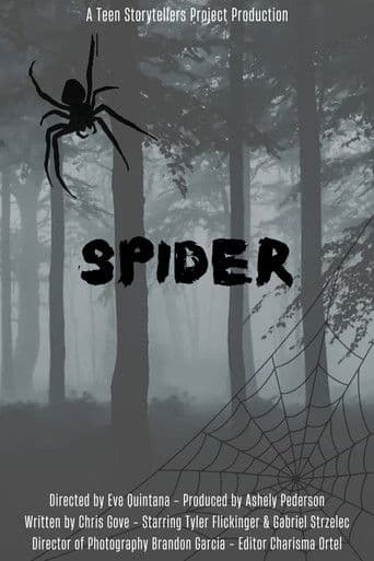 Spider