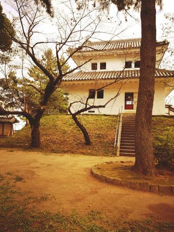 El Viaje de Sanae al Castillo de Tsuchiura