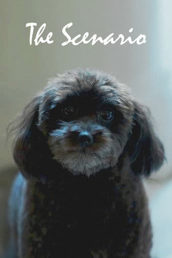 The Scenario