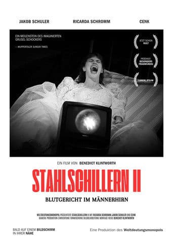 Stahlschillern II - Blutgericht im Männerhirn