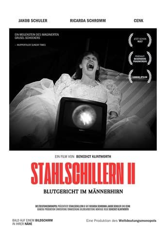 Stahlschillern II - Blutgericht im Männerhirn