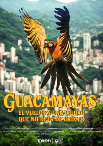 Guacamayas: El vuelo en una ciudad que no deja de crecer
