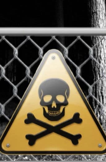 Influencer into the woods