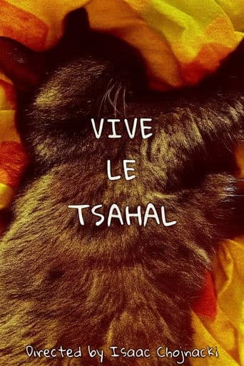 sleeping cat in november