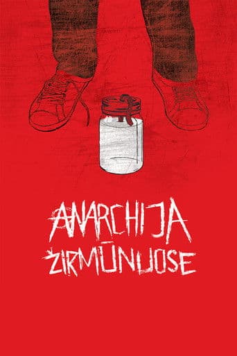 Anarchija Žirmūnuose
