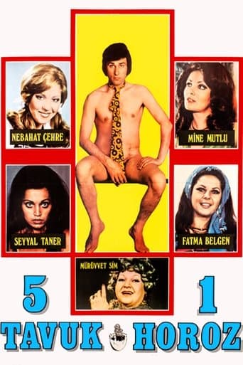 Beş Tavuk Bir Horoz