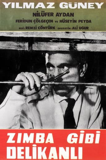 Zımba Gibi Delikanlı