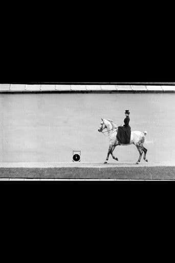 Cheval Bai, Monté par Thérèse Rentz, Petit Galop