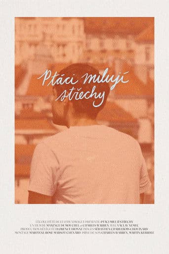 Ptáci milují střechy