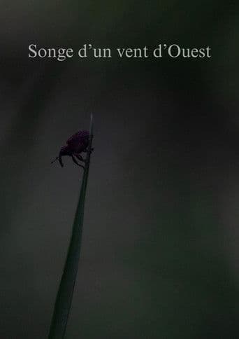 Songe d'un vent d'Ouest