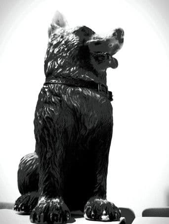 سگ کوچه سرندی