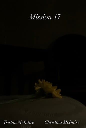 Mission 17