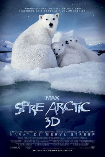 To the Arctic 3D