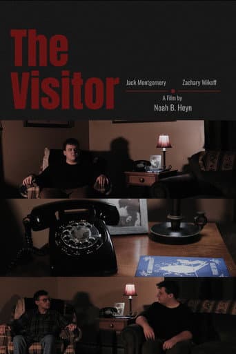 The Visitor