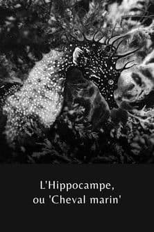 L'Hippocampe, ou 'Cheval marin'