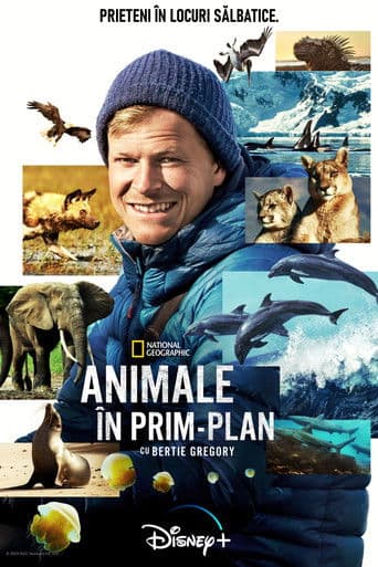 Animale în prim-plan cu Bertie Gregory