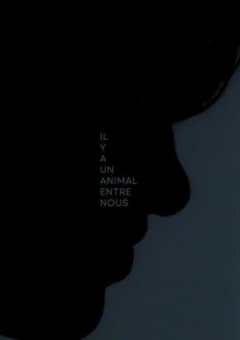 Il y a Un Animal Entre Nous