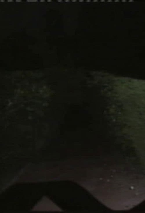 Vórtice Magnético ou Mecanismo de Dobra Fantasmática