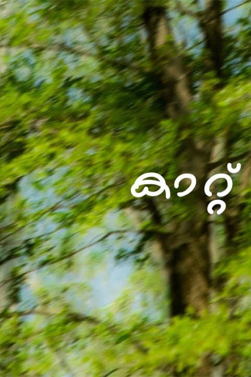 കാറ്റ്‌