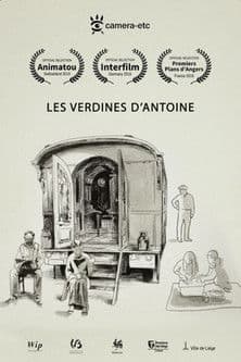 Les verdines d'Antoine