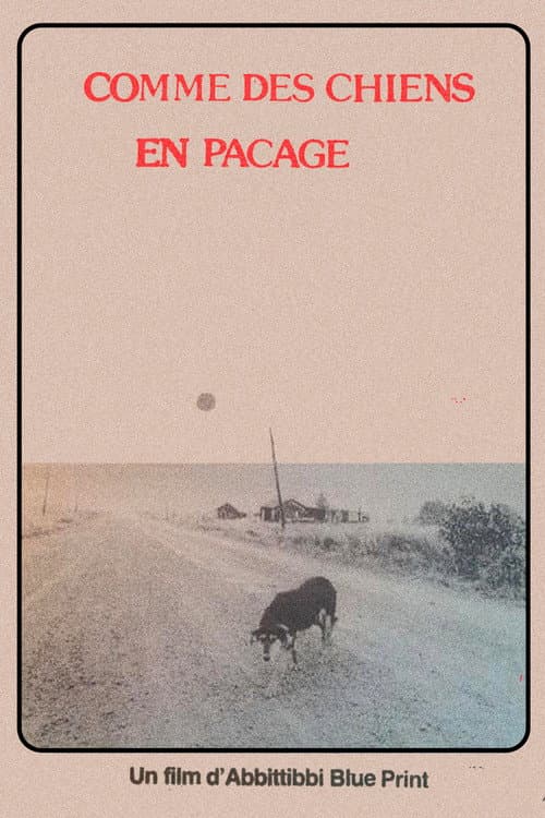Comme des chiens en pacage