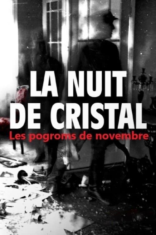 La Nuit de cristal : Les pogroms de novembre